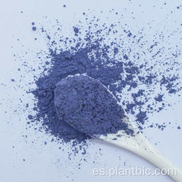 Polvo de flor de guisante de mariposa azul matcha orgánico